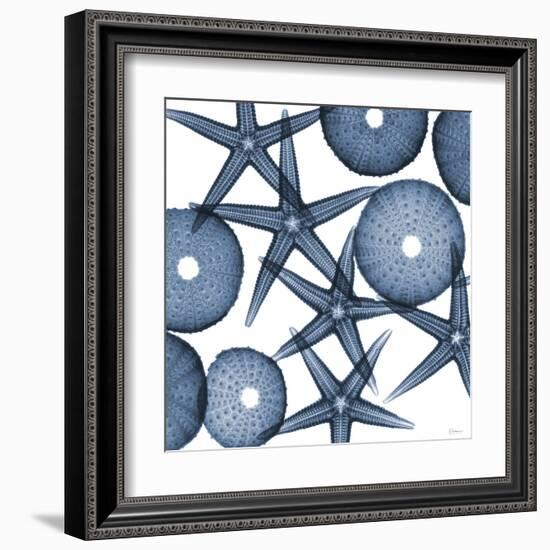 Collage of Starfish and Sea Urchins-Albert Koetsier-Framed Art Print