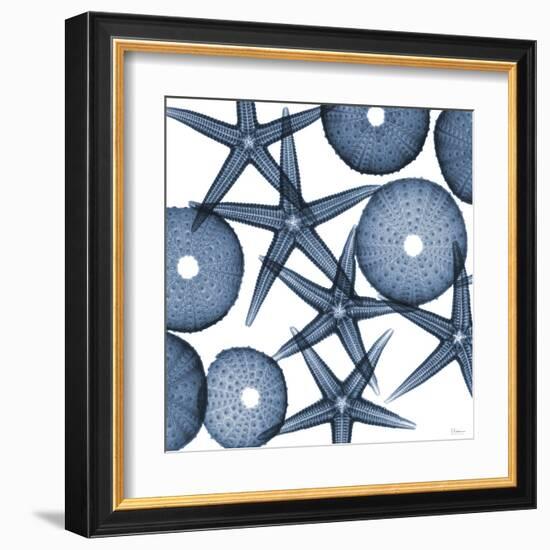 Collage of Starfish and Sea Urchins-Albert Koetsier-Framed Art Print