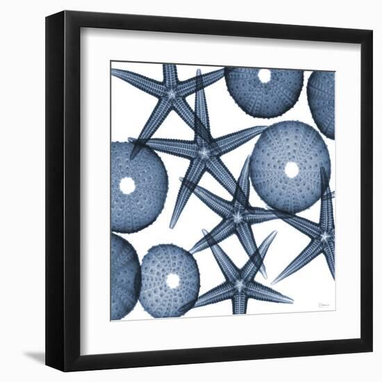 Collage of Starfish and Sea Urchins-Albert Koetsier-Framed Art Print