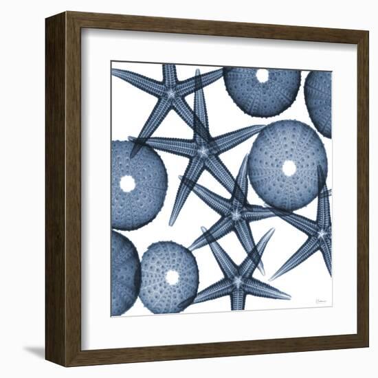 Collage of Starfish and Sea Urchins-Albert Koetsier-Framed Art Print