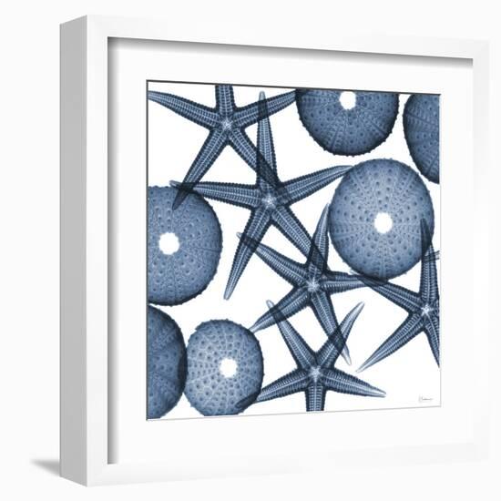 Collage of Starfish and Sea Urchins-Albert Koetsier-Framed Art Print