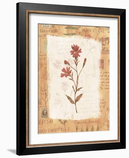 Collage of the Flower Ragged Robin-Hope Street Designs-Framed Giclee Print