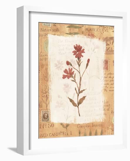 Collage of the Flower Ragged Robin-Hope Street Designs-Framed Giclee Print