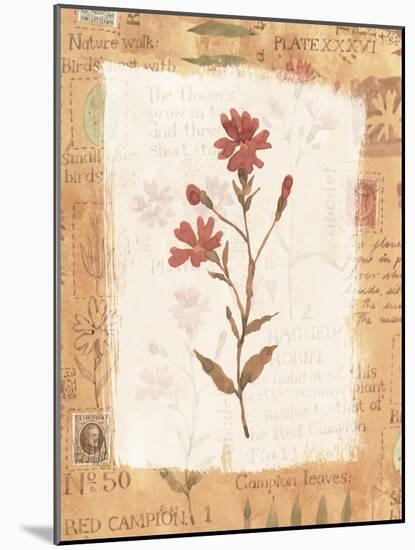 Collage of the Flower Ragged Robin-Hope Street Designs-Mounted Giclee Print