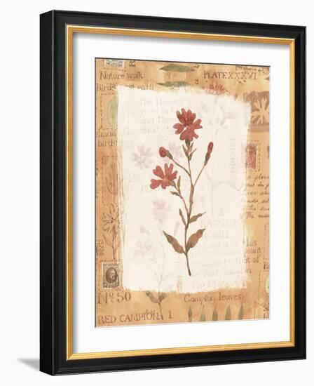 Collage of the Flower Ragged Robin-Hope Street Designs-Framed Giclee Print