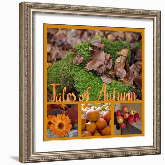 Collage with Autumnal Motifs-Andrea Haase-Framed Photographic Print