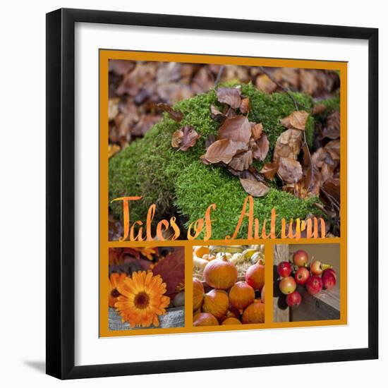 Collage with Autumnal Motifs-Andrea Haase-Framed Photographic Print