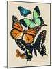 Collaged Butterflies I-Victoria Barnes-Mounted Art Print