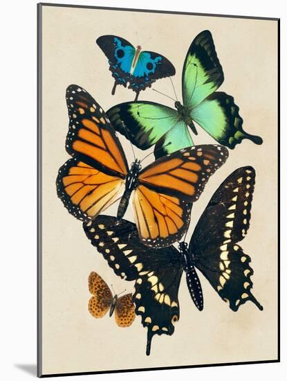 Collaged Butterflies I-Victoria Barnes-Mounted Art Print