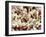 Collagen, SEM-Steve Gschmeissner-Framed Photographic Print