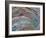 Collapsed Ovarian Follicle, SEM-Steve Gschmeissner-Framed Photographic Print