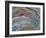 Collapsed Ovarian Follicle, SEM-Steve Gschmeissner-Framed Photographic Print