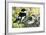 Collared Flycatcher (Ficedula Albicollis), Muscicapidae-null-Framed Giclee Print
