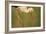 Collected Calm-Staffan Widstrand-Framed Giclee Print