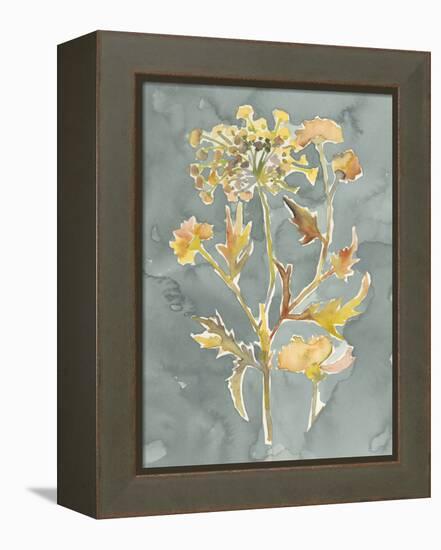 Collected Florals I-Chariklia Zarris-Framed Stretched Canvas