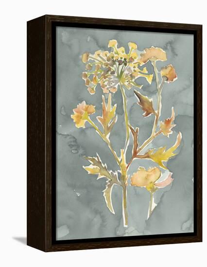 Collected Florals I-Chariklia Zarris-Framed Stretched Canvas