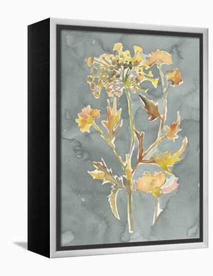 Collected Florals I-Chariklia Zarris-Framed Stretched Canvas