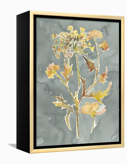 Collected Florals I-Chariklia Zarris-Framed Stretched Canvas