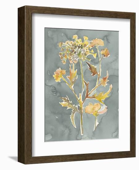 Collected Florals I-Chariklia Zarris-Framed Premium Giclee Print