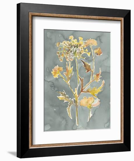 Collected Florals I-Chariklia Zarris-Framed Premium Giclee Print