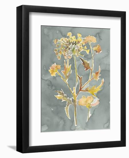 Collected Florals I-Chariklia Zarris-Framed Premium Giclee Print