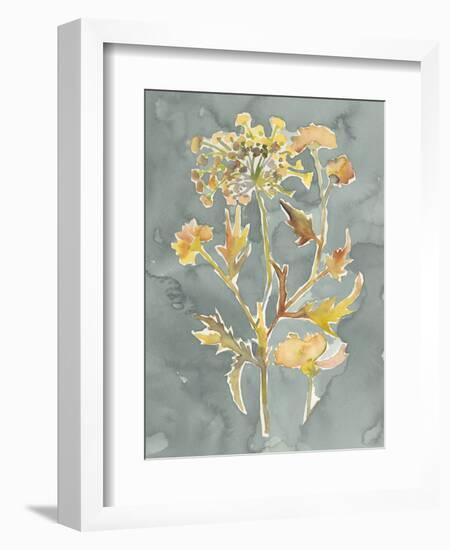 Collected Florals I-Chariklia Zarris-Framed Premium Giclee Print