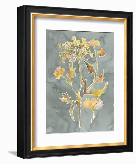 Collected Florals I-Chariklia Zarris-Framed Premium Giclee Print