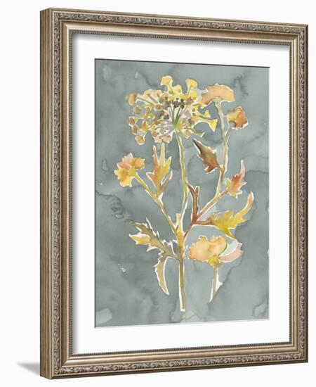 Collected Florals I-Chariklia Zarris-Framed Art Print