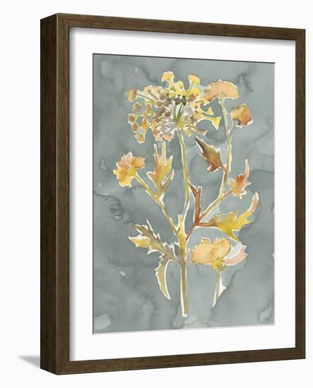 Collected Florals I-Chariklia Zarris-Framed Art Print