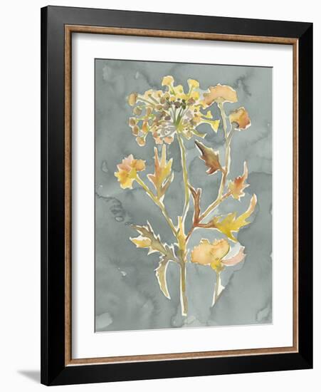 Collected Florals I-Chariklia Zarris-Framed Art Print