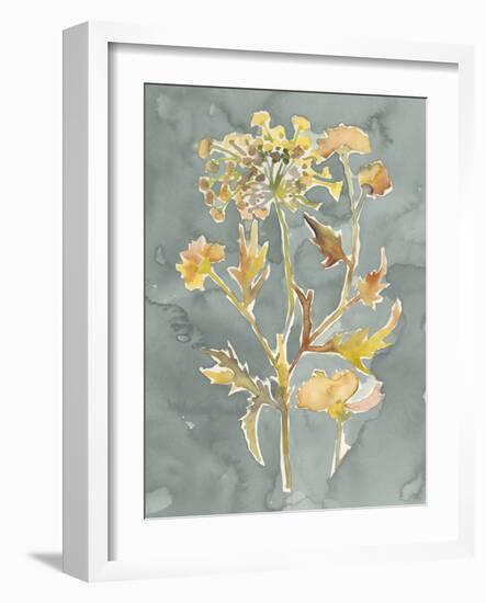 Collected Florals I-Chariklia Zarris-Framed Art Print