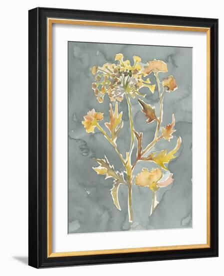 Collected Florals I-Chariklia Zarris-Framed Art Print