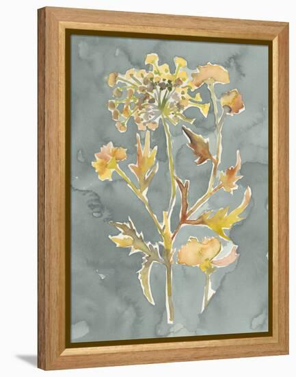 Collected Florals I-Chariklia Zarris-Framed Stretched Canvas