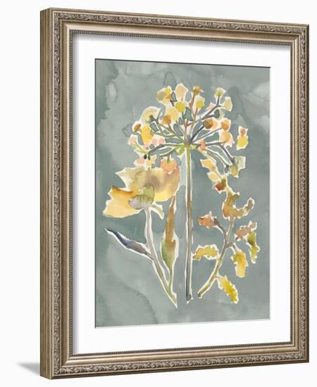 Collected Florals II-Chariklia Zarris-Framed Art Print