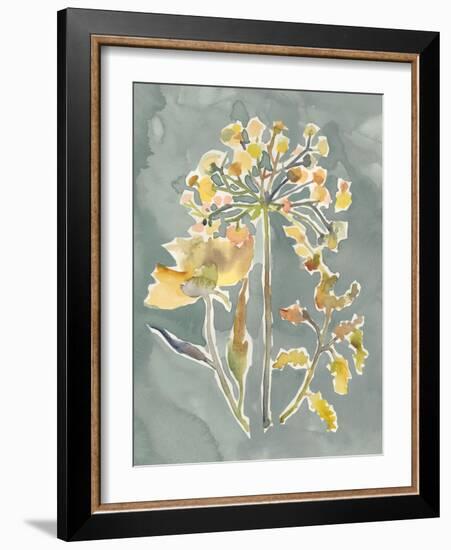 Collected Florals II-Chariklia Zarris-Framed Art Print