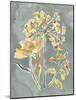 Collected Florals II-Chariklia Zarris-Mounted Art Print