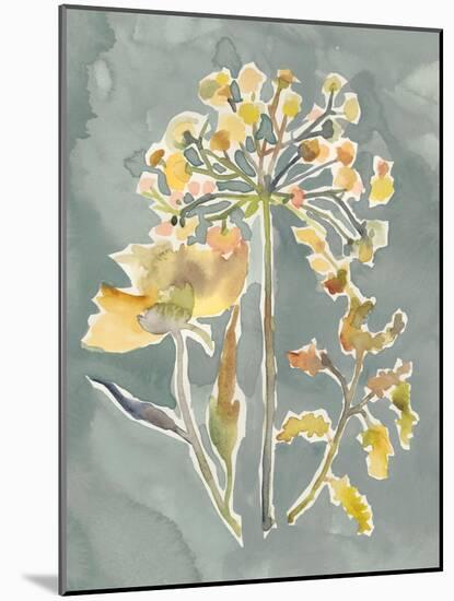 Collected Florals II-Chariklia Zarris-Mounted Art Print