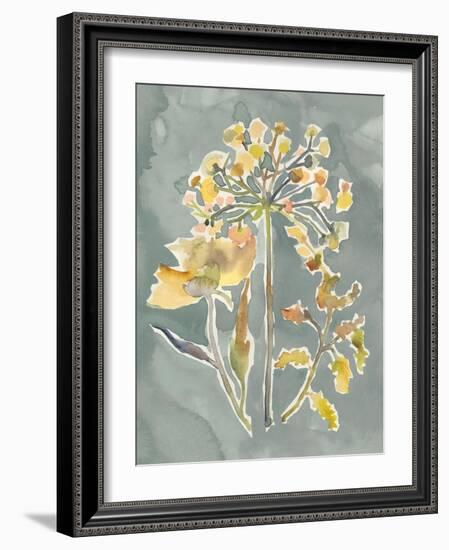 Collected Florals II-Chariklia Zarris-Framed Art Print