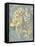 Collected Florals II-Chariklia Zarris-Framed Stretched Canvas