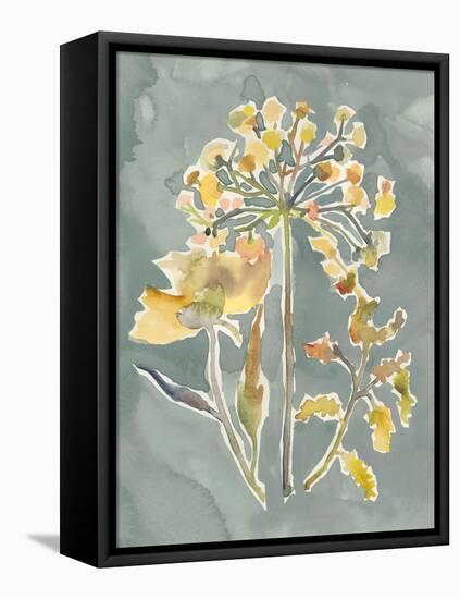 Collected Florals II-Chariklia Zarris-Framed Stretched Canvas