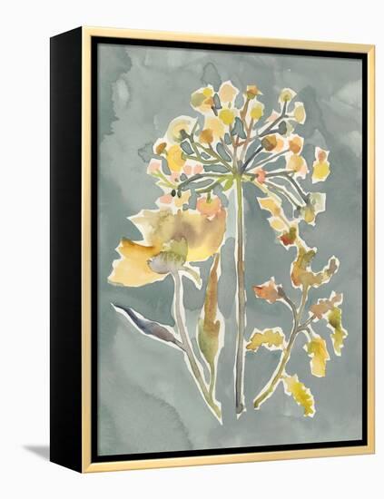 Collected Florals II-Chariklia Zarris-Framed Stretched Canvas