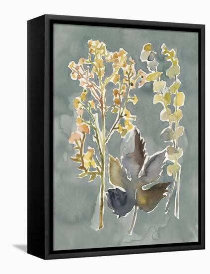 Collected Florals III-Chariklia Zarris-Framed Stretched Canvas