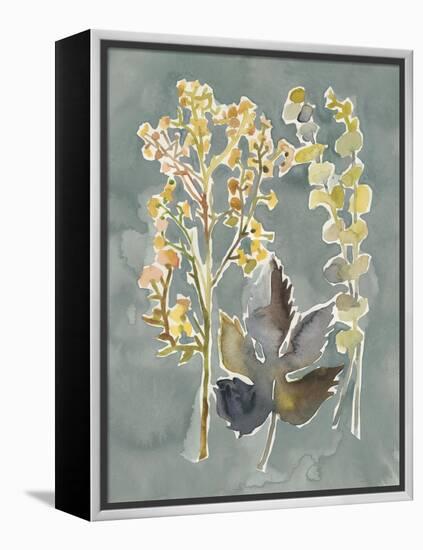 Collected Florals III-Chariklia Zarris-Framed Stretched Canvas