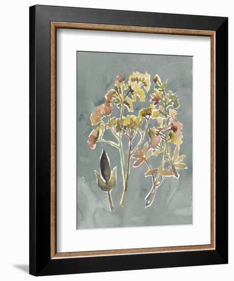 Collected Florals IV-Chariklia Zarris-Framed Premium Giclee Print