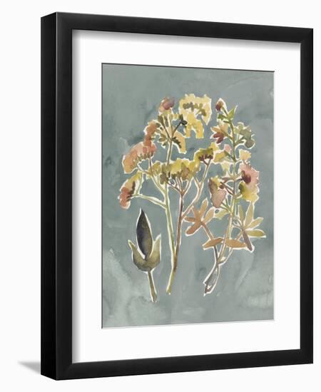 Collected Florals IV-Chariklia Zarris-Framed Premium Giclee Print