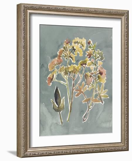 Collected Florals IV-Chariklia Zarris-Framed Art Print