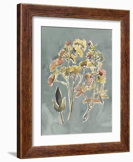 Collected Florals IV-Chariklia Zarris-Framed Art Print