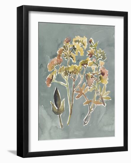 Collected Florals IV-Chariklia Zarris-Framed Art Print