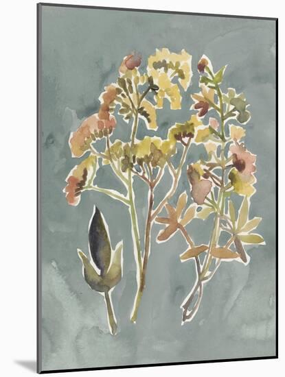 Collected Florals IV-Chariklia Zarris-Mounted Art Print