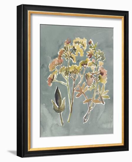 Collected Florals IV-Chariklia Zarris-Framed Art Print